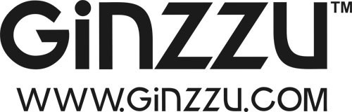 Логотип Ginzzu