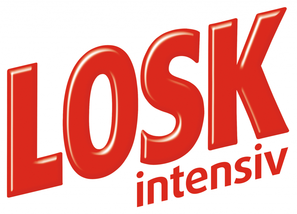 Логотип Losk