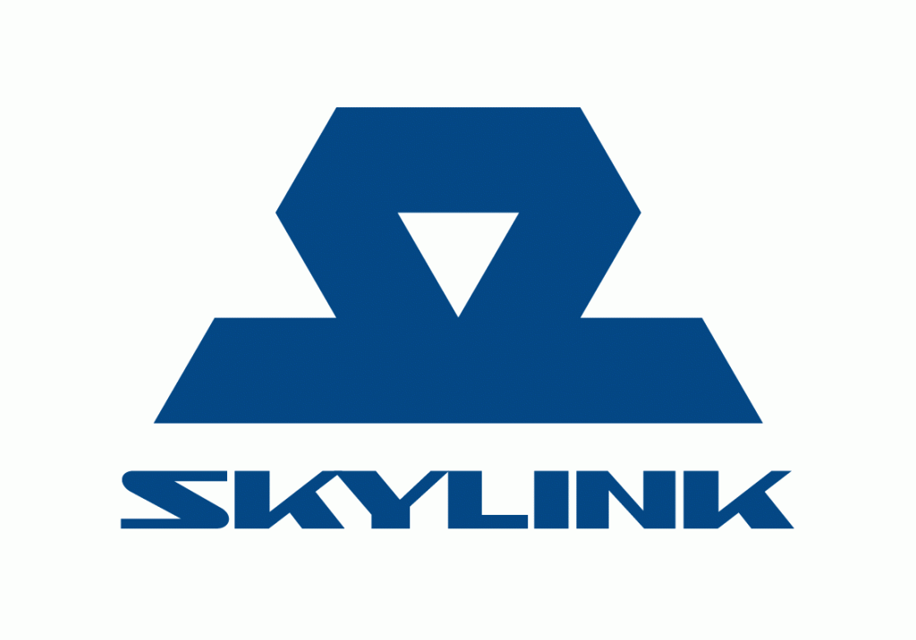 Логотип Skylink