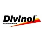 Логотип Divinol